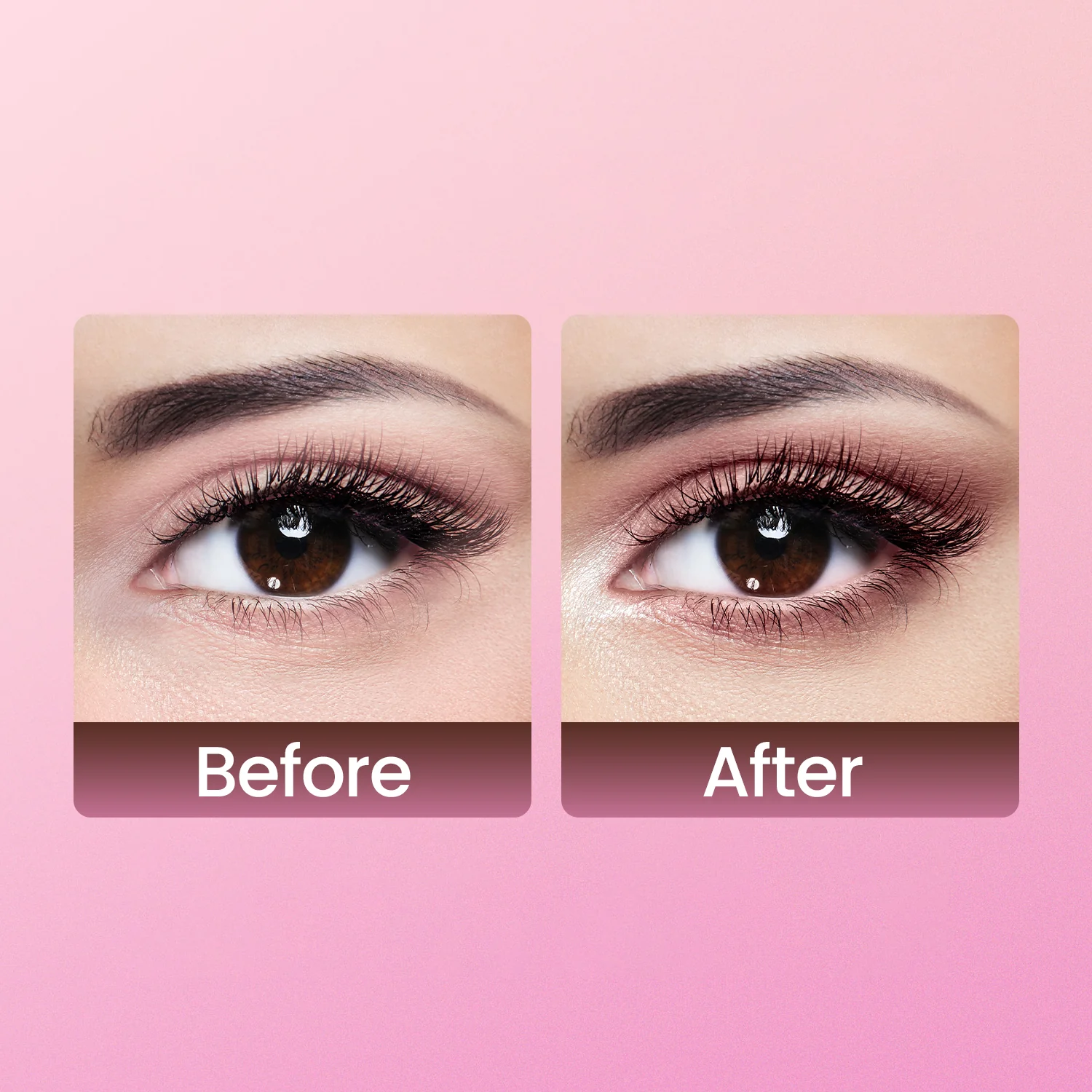 Dual Passport Face & Eye Palette - Image 29